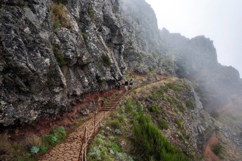 Hikers on the PR1 Vereda do Areeiro hiking trail in the fog