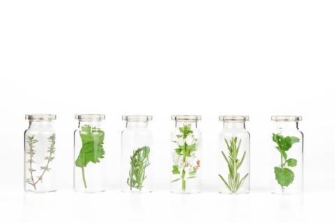 Aromatic plants in a glass jar isolated on a white background