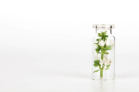 Close-up of a glass jar with fresh basil branches isolated on white background