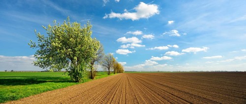 Panorama