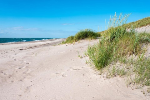 Summer day by the sea