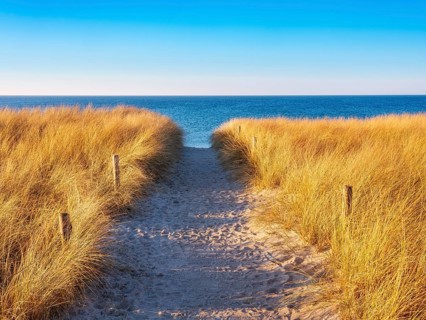 Beach access at the Baltic Sea in the evening light