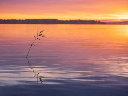 Clear calm lake at sunrise