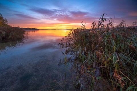Clear still lake at sunrise