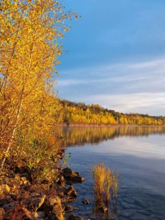 Autumn at the Geiseltalsee