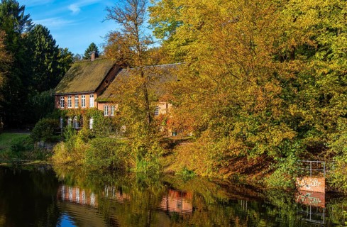 Autumn season
