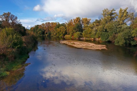 Autumn in the floodplain