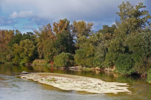 Autumn in the floodplain