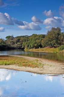 Autumn in the floodplain