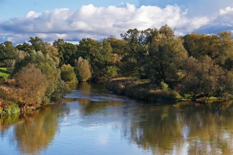 Autumn in the floodplain