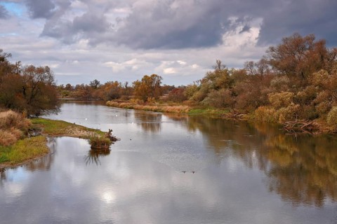 Autumn in the floodplain
