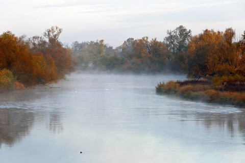 Autumn in the floodplain