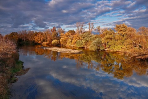 Autumn in the floodplain
