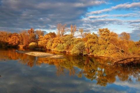 Autumn in the floodplain