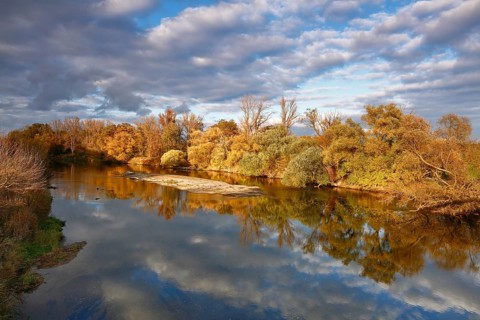 Autumn in the floodplain