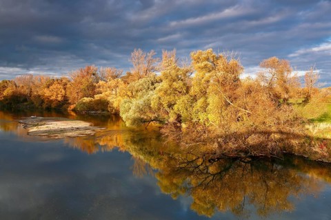 Autumn in the floodplain