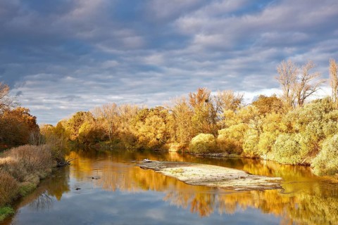 Autumn in the floodplain