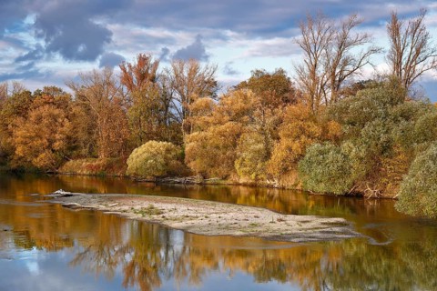 Autumn in the floodplain