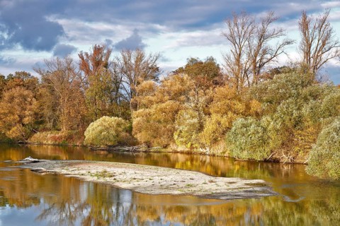 Autumn in the floodplain
