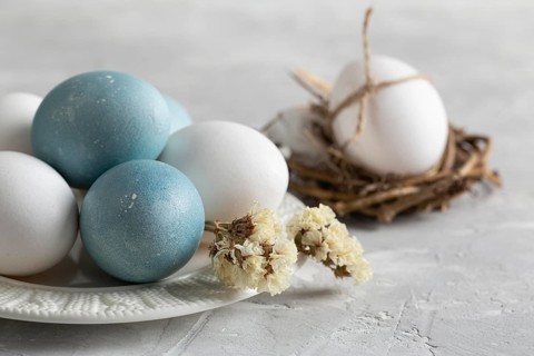High angle easter eggs bird nest with plate flowers