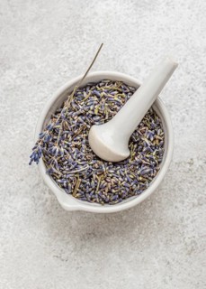 Lavender plant bowl arrangement