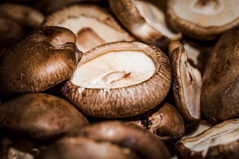 Macro shot fresh mushrooms
