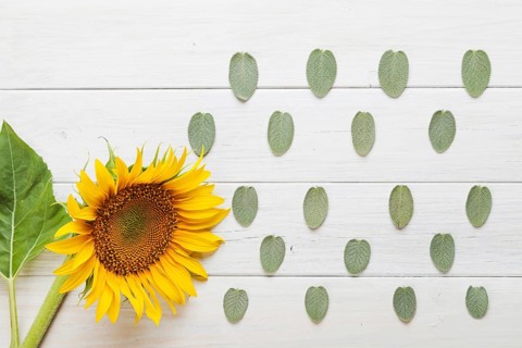 Sunflower leaves ornament