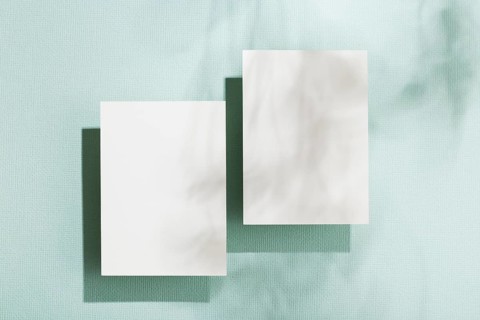 Top view collection business cards
