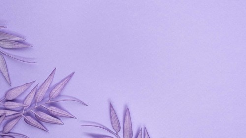 Top view monochromatic leaves with copy space