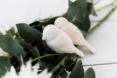 Two love birds leaves against white background