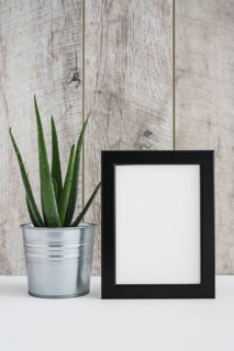 Aloe vera aluminum container with white picture frame against wooden wall