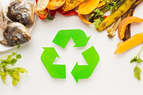 Arrangement cooked fish leftovers recycle symbol