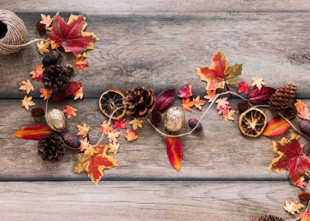Autumn elements lying crooked