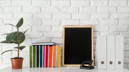 Colorful books plant table
