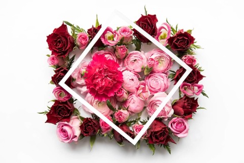 Frame carnation peonies roses