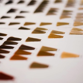Hair color catalogue