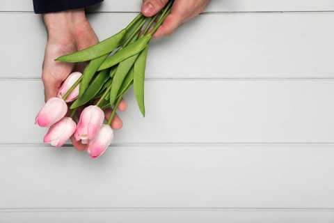 Hand holding pink tulips bouquet
