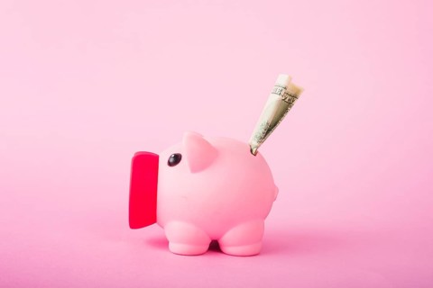 Pink piggy bank with money