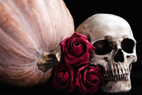 Roses with human skull pumpkin
