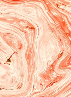Salmon tree shell abstract oil