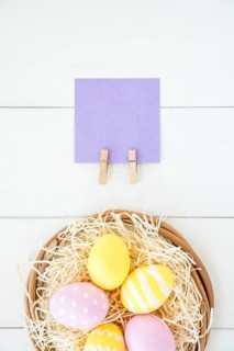Set bright eggs decorative nest near paper