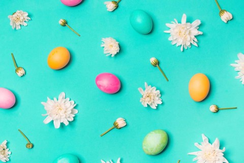 Set bright eggs flower buds