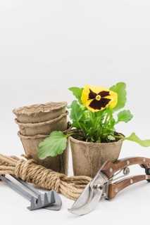 Stacked peat pots rope bundle gardening tools secateurs isolated white background