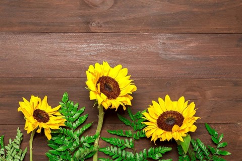 Sunflowers fern leaves wooden background