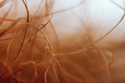 Texture waving brown fibers