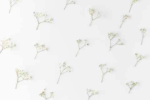 Top view blooming flowers 3