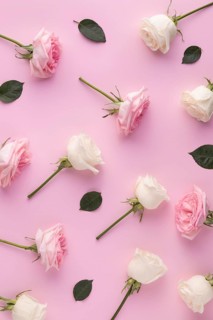 Top view blooming roses 2