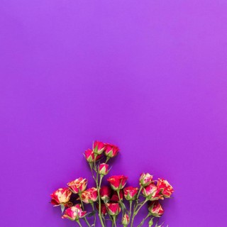 Top view bouquet carnation flowers violet copy space background