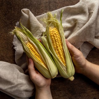 Top view person holding corn