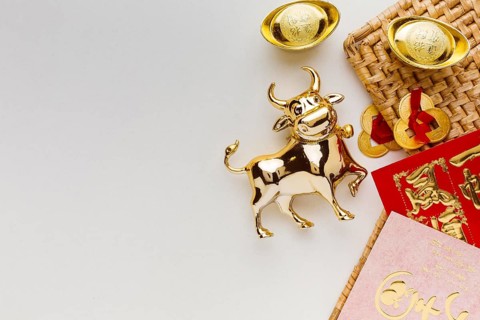 Traditional new year chinese ox copy space white background